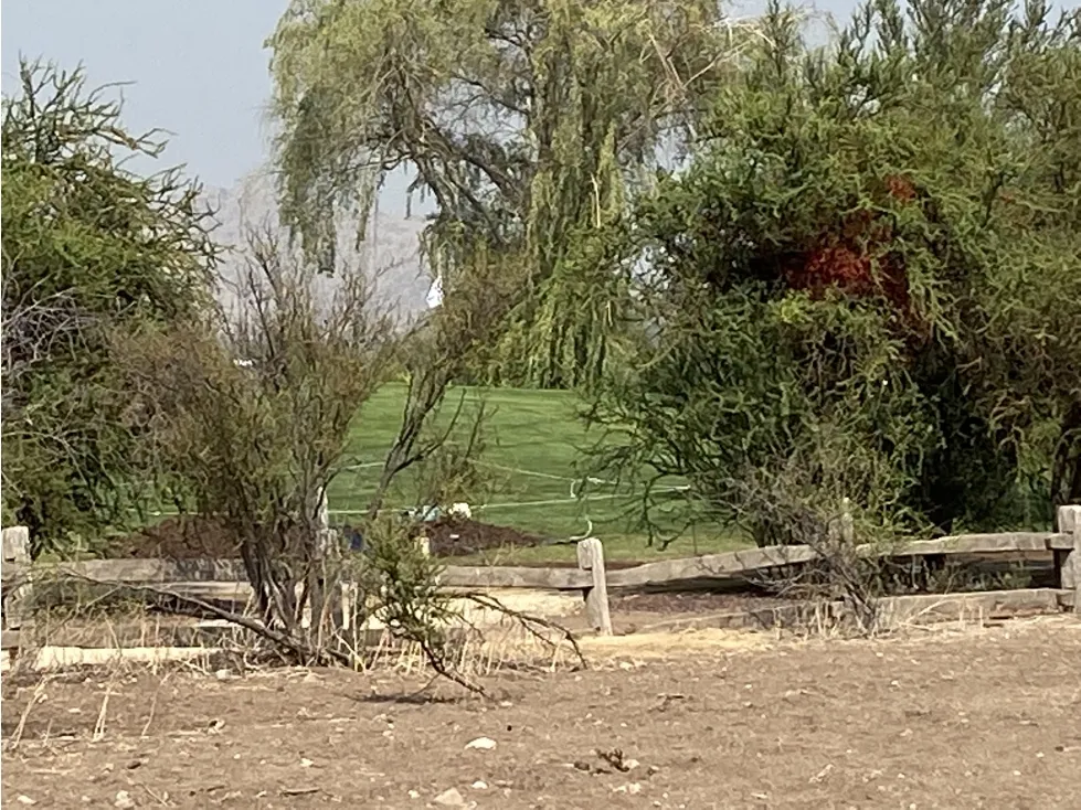 Vista del terreno hacia la cancha de golf adyacente